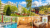 Harz: Kurzurlaub – 3 Tage im CAREA Residenz Hotel – Harzhöhe im Harz – All Inclusive ab 89 €