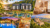 Pfalz – Bad Bergzabern – Hotel Luisenpark – 3 Tage Doppelzimmer Halbpension Lunchpaket 1x Tageseintritt Südpfalz Therme und Pfalzcard ab 159 €