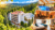 Polen: Niederschlesien – Bad Flinsberg – Kur & Spa Hotel Czeszka – 4 Tage Vollpension – inklusive Salzgrotte ab 135,15 €