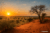 Afrika Namibia Rundreise – Wilde Weiten und Große Momente erleben * 14 Tage inkl. Flug * November 2026 – April 2027